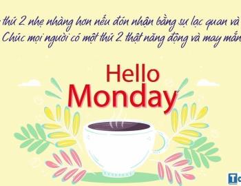 Dịch Tài Liệu Tiếng Ba Lan Tại Nam Định – Giải Pháp Chuyên Nghiệp Cho Doanh Nghiệp Và Cá Nhân